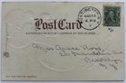 Early 1900s Antique Easter Postcard   Embossed Forget Me Nots   Baby Chicks