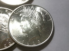 Roll Of 20 Peace Silver Dollars High Grade Bu Lot Of Coins  Dates 1922 -1923  25