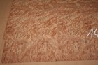 Smooth-leaved Vein - Ulme Veneer 10 1 4in X 14 5 32in - Elm Burl - 2 Sheets 0146