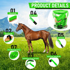 9 Pcs Horse Grooming Tools Kit With Organizer Tote Bag For Beginners
