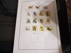 Australia  Collection With More Than 1300 Stamps  Used In Albums  Ebau999