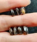 7pc Kenya Sericho Pallasite Iron Meteorite Specimen