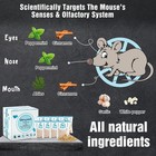 Vamoose Natural Rodent Repellent - 8 Pack Peppermint Oil - Mice   Rat Deterrent