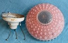 2 Antique Ceiling Light Shades 3 Hole Chains White   Pink Hobnail Bubble Glass
