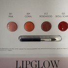 Dior Lipglow Sample Card   Pink  Coral  Rosewood  Seoul Scarlet   Brush New
