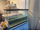 Aqueon Standard Glass 20 Gallon Long Aquarium Tank  Black Trim