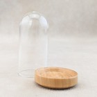 Dollhouse Display Dome Collectible Miniature Mini Cloche Doll House Case Glass