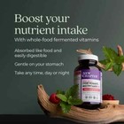 New Chapter Every Women s Multivitamin 55  Immune  Heart  Bone Support  96 Count