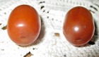 Vintage Pair Of Butterscotch Bakelite Prayer Beads 8 5 Grams