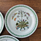 3   1972 Portmeirion England The Botanic Garden Venus  s  Fly Tray Dinner Plates