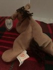 Rare Ty Beanie Babies Derby Two Tush Tags Pvc 1995 Canada 4th Gen