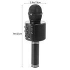 Karaoke Microphone Speaker Handheld Ktv Player Mic Party Wireless Bluetooth Usa
