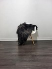 Icelandic Sheepskin Rug   Sheepskin Rug  Soft Silky Long Wool  c120