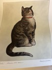 C   O Railway Chessie Pictures Cats Set Of 3 Prints