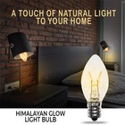 Himalayan Glow Salt Lamp Light Bulbs - Night Light Bulbs - 15 Watt Light Bulb   