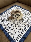 Nwt Target Cloud Island Sloth White Blue Satin Trim Security Baby Blanket Lovey