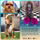 Permanent Dog Hair Dye  Pet Hair Dye Safely Used By Grooming Salons For A Dec   