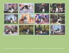 2026 English Springer Spaniel Calendar