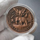 Fortune Favors The Bold Lucky Coin  Horseshoe   Four-leaf Clover Good Luck   