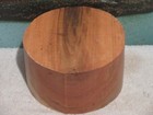 Black Cherry  8 X 4 Turning Wood Bowl Blank