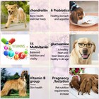 15 In 1 Dog Multivitamins And Supplements  Dog Hip And Joint Supplement  150 Ct