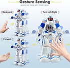 Programmable Rc Robot Toy For Kids  Dancing Singing Led Eyes  Gesture Sensing