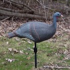 Falls River Turkey Decoy Upright Hen Mott01742 Foam Hunting Lightweight Portable