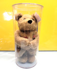 1999 Salvino s Bammers Collectors Club Mark Mcgwire Teddy With Display