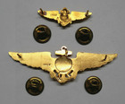 2 Noaa Pilot s Badges