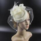 Women Fascinator Hat Pillbox Hat With Veil Wedding Party Headpiece Retro 20s 50s