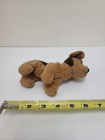 1996 Ty Beanie Baby - Tuffy The Dog 6 5  Stuffed Animal Toy