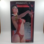 Vampirella Jose Gonzalez Statue Standard Artist Proof Out Of 99 12 5  Statue