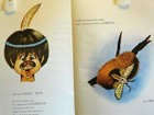 New  Please Don t Step On Me - Native American Indian Childrens Book 
