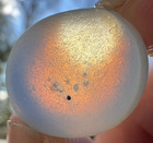 Beautiful Jq Cobalt Blue   Opalescent Multi  Real Davenport Beach Sea Glass