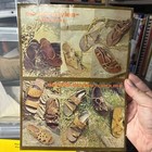 Sandal Making   Comprehensive Guide By Tandy Leather Company  pb  Vintage 