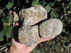 Trio Of Green   Gold Natural Quartz Jasper Rock Nodule Stones  3 4lb Total 