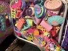 Littlest Pet Shop