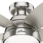 Hunter Fan 44 Inch Brushed Nickel Indoor Ceiling Fan Wth Light And Pull Chain