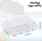 100pcs Clear Egg Cartons  Plastic Egg Holders Egg Cartons Cheap Bulk For