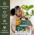 House Plant Care Essentials Kit - We The Wild