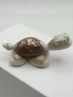 Anthropomorphic Seashell Turtle Figure Wire Glasses 2    X 7 8   