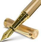 Smooth Writing Fountain Pen  10 Ink Cartridges  Fine Nib  Gold