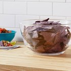 211oz Large Plastic Serving Bowl  Clear Trifle  Popcorn Bowl  Dishwasher-safe