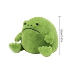 New Ricky Rain Frog Plush Frog Stuffed Toy  Green Frog Body  Soft Stuffed Gifts