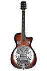 Gold Tone Pbr-ca Paul Beard Signature Series Roundneck Resonator Guitar -