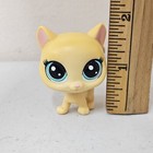 Littlest Pet Shop Dina Kitty Yellow Short Hair Cat  2-77 Aqua Eye New Gen Lps