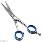 5 Pcs Barber Silver Shears 5 5  Hairdress Cutting Salon Premium Scissors