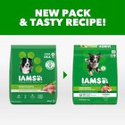 Iams Proactive Health Minichunks Dry Dog Food Chicken 30 Lb Bag