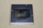 Naughty Nymphs - 1 Press Kit Slide Sybil Danning Eva Garden Alena Penz Rare
