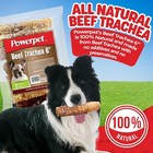6 Inch Beef Trachea- Bulk- Natural Dog Chew-100  Brc Certified